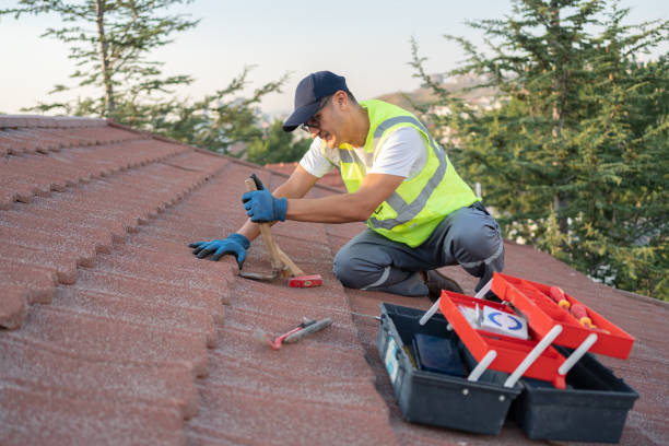 Best Residential Roofing Contractor  in Johnsburg, IL