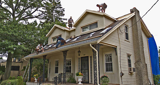Best Roof Repair Services  in Johnsburg, IL