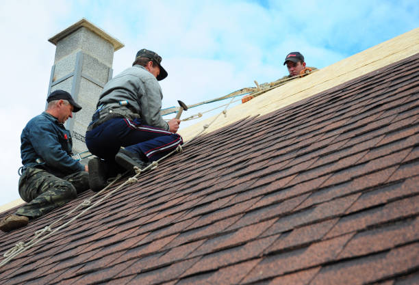 Best Storm Damage Roof Repair  in Johnsburg, IL