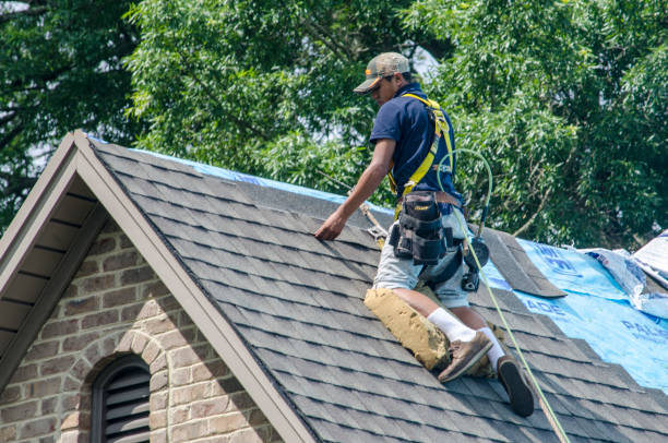 Best Roof Waterproofing Services  in Johnsburg, IL